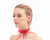 Lady Ribbon Choker - Red